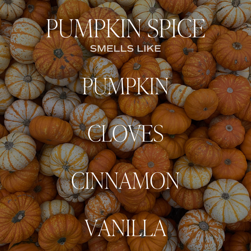Pumpkin Spice 15oz Soy Candle
