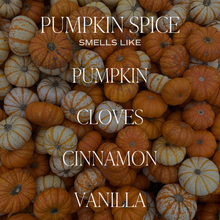 Load image into Gallery viewer, Pumpkin Spice 15oz Soy Candle
