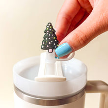 Load image into Gallery viewer, Straw Topper Set
