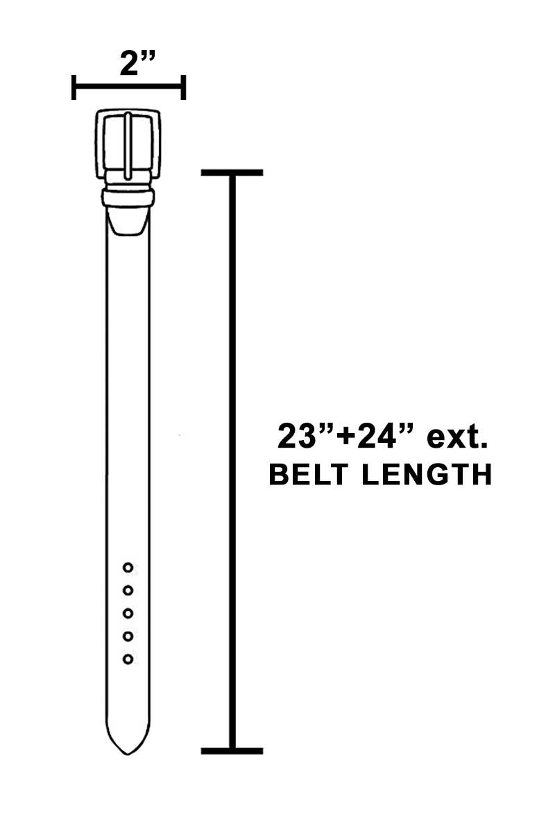 Metallic Clam Shell Chain Belt